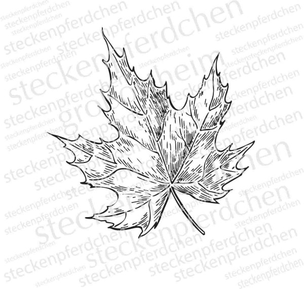 Steckenpferdchenstempel Ahorn Herbstblatt