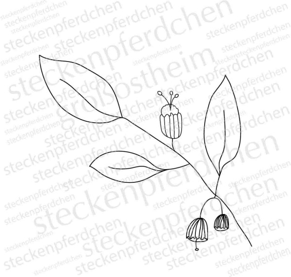 Steckenpferdchenstempel Pflanze 11