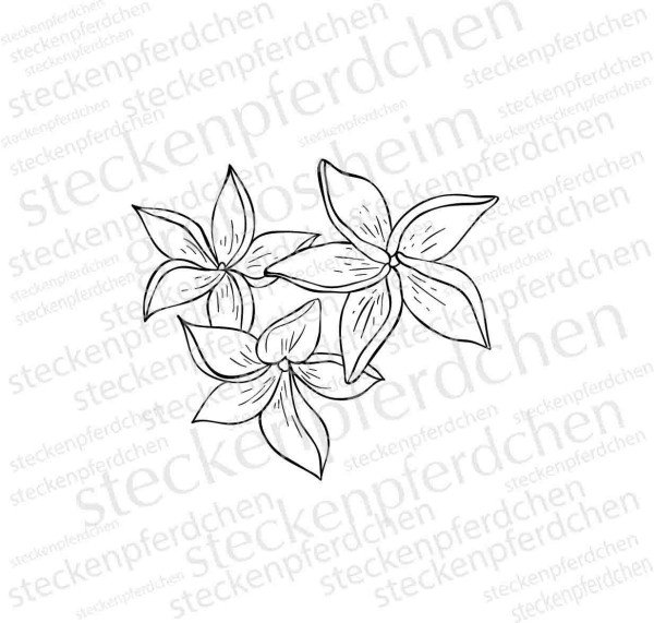 Steckenpferdchenstempel Blume 1