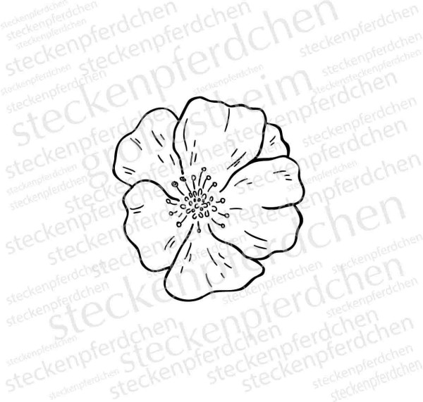 Steckenpferdchenstempel Blume Anemone 2