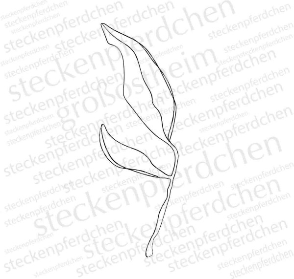 Steckenpferdchenstempel filigranes Blatt