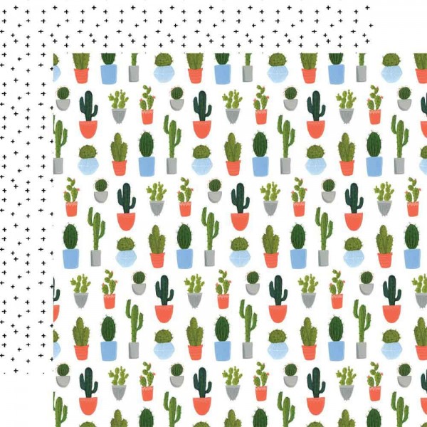 Echo Park Plant Lady - Cacti
