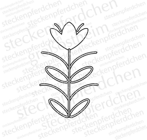 Steckenpferdchenstempel Pflanze 6