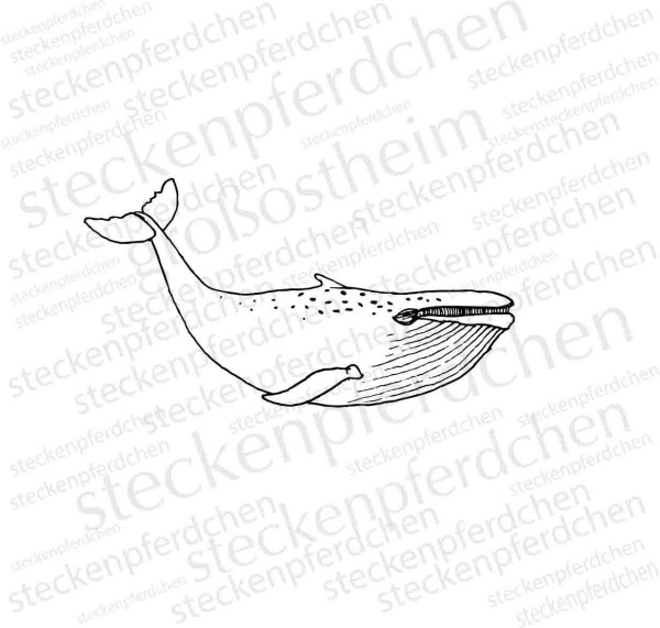 Steckenpferdchenstempel Walfisch Erwin