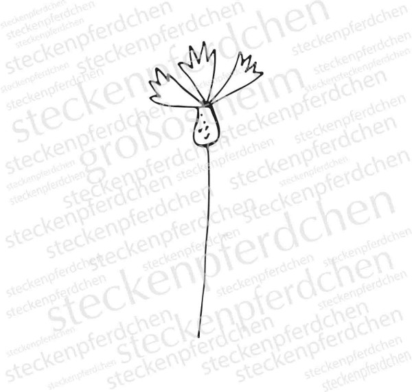 Steckenpferdchenstempel Pflanze 9