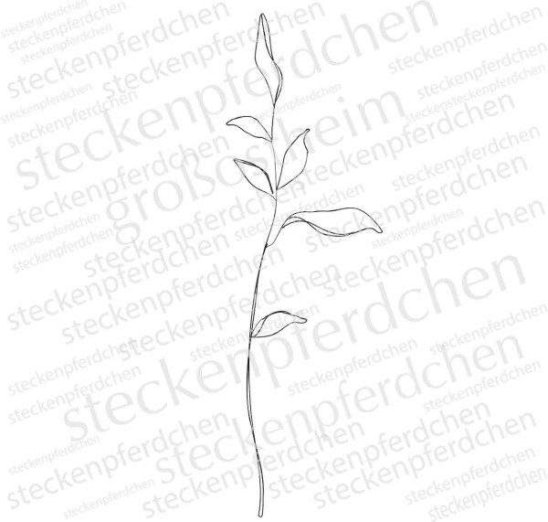 Steckenpferdchenstempel langer filigraner Blätterstiel