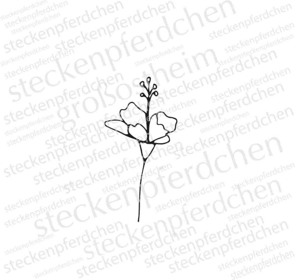 Steckenpferdchenstempel Pflanze 4