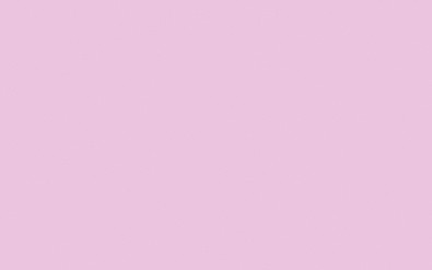 Ursus Blumenseide rosa
