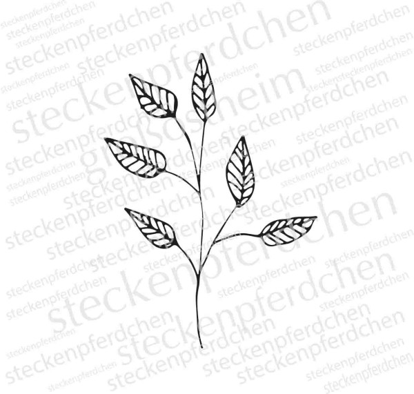 Steckenpferdchenstempel Pflanze 8