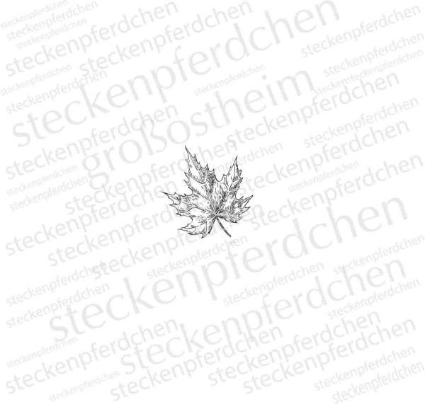 Steckenpferdchenstempel Ahornblatt