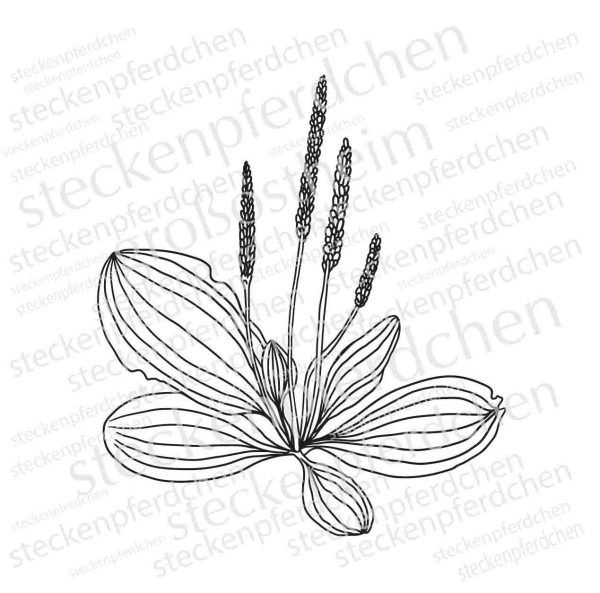 Steckenpferdchenstempel Wildblume