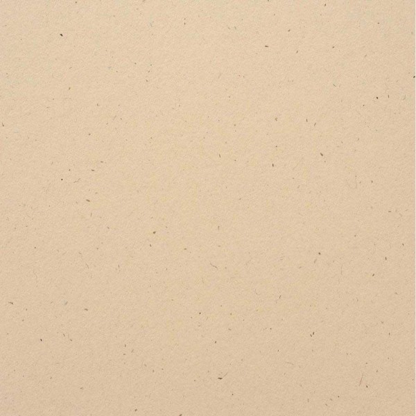 Bazzill Speckle Cardstock - Natural Stone
